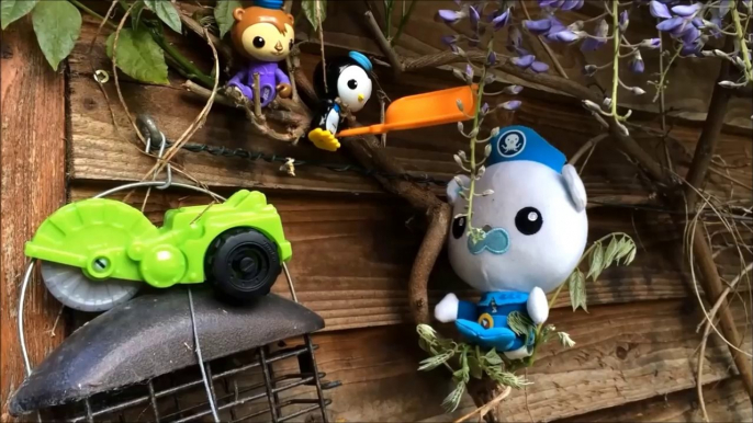 Octonauts Toys - jouets octonauts - Cbeebies - Octonautas -  바다탐험대 옥토넛  octonautas toys octonauts  바다탐험대 옥토넛