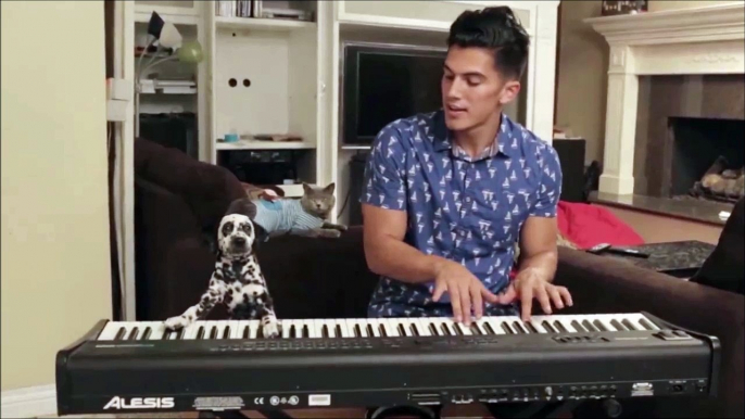 Un chien et son pote humain jouent du piano. Trop marrant