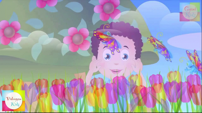 Chubby Cheeks Dimple Chin Nursery Rhyme | Cartoon Animation Songs For Children