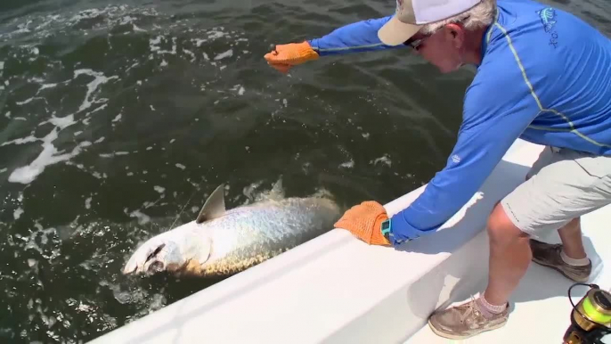 Fishing SC Rivers for Tarpon