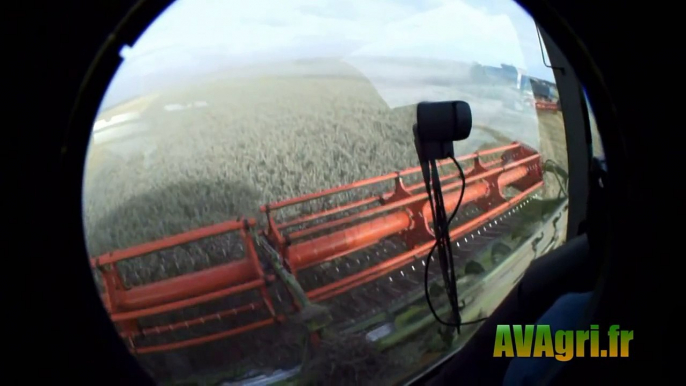 ETA GERNEZ avec un doublet de CLAAS Lexion 770 et 600 dans le blé en 2011 (Harvest in fran