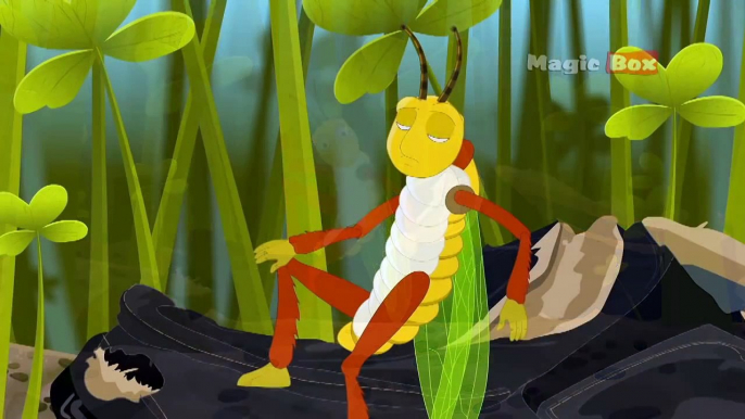 The Ant And Grasshopper - Aesops Fables - Animated/Cartoon Tales For Kids