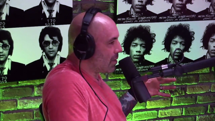 Joe Rogan talks paige vanzant more women divisions in ufc state of WMMA and more !!