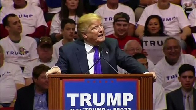 Donald Trump says hed like to punch protester at Nevada rally