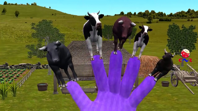 Finger Family Nursery Rhymes for Children Cow Cartoons | Finger Family Children Nursery Rh