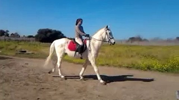 yo montando a mi caballo otelo al paso :D