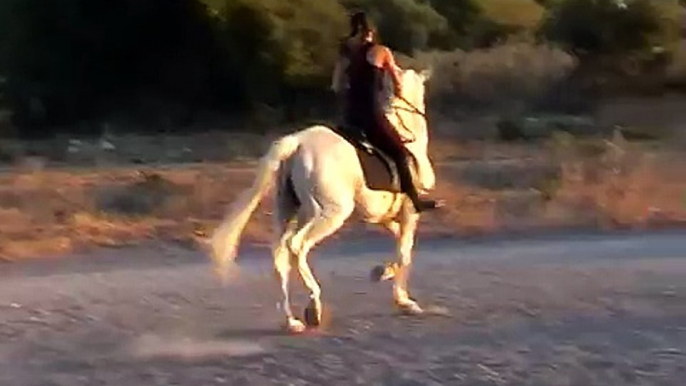 YO MONTANDO A MI CABALLO OTELO AL TROTE Y UN POCO AL GALOPE :D