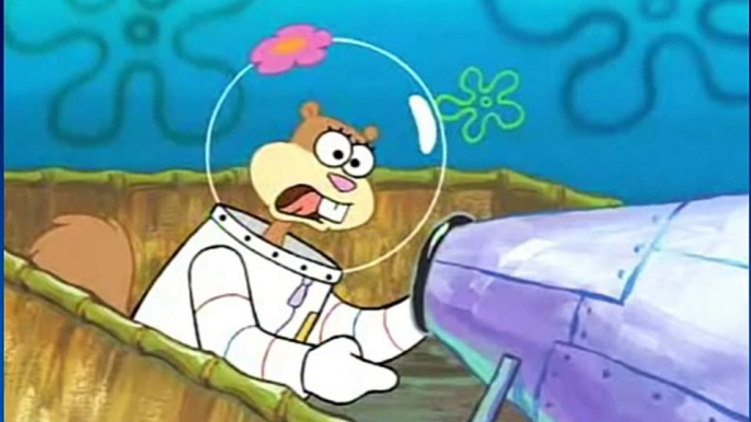 This is a load of barnacles...