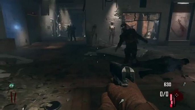 NEW  Black Ops 2 Zombies Die Rise GLITCHES - ENSLAVE ZOMBIES GLITCH - Have A Pet Zombie