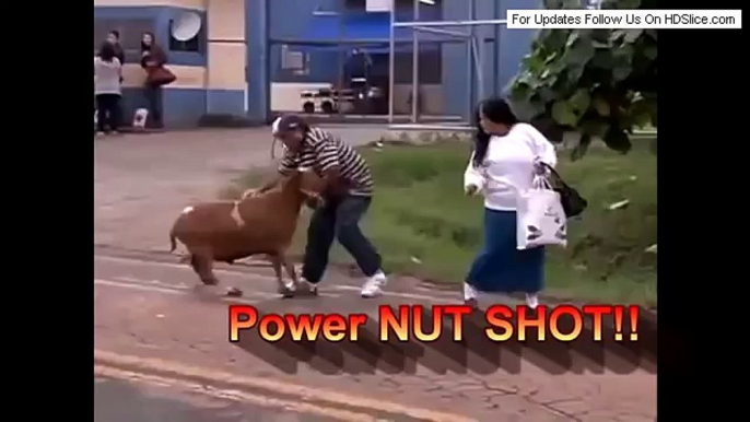 Crazy Goat Attacks People in the streets Real Life Mountainattack