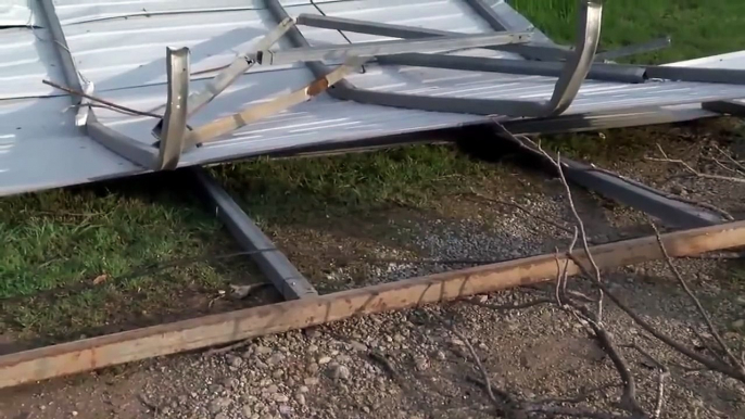 Solemn Tornado Broadcast Interrupted by Dog on Lawnmower