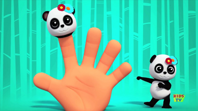 Bao Panda | Finger Family | Panda Finger Family | Nursery Rhymes