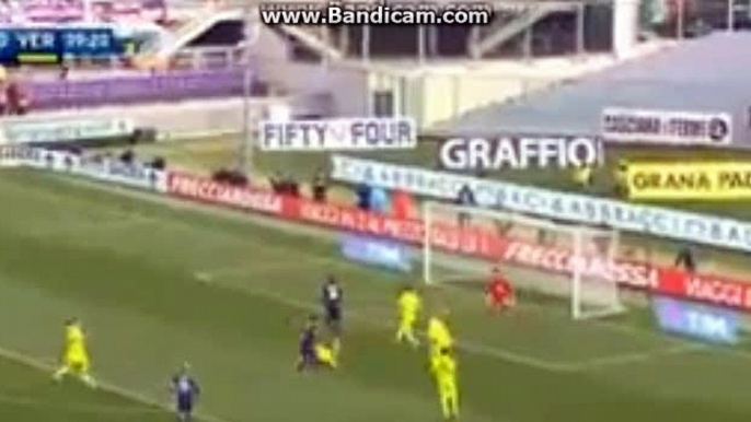 FANTASTIC Goaaal Mauro Zarate - Fiorentina 1-0 Verona - 13.03.2016