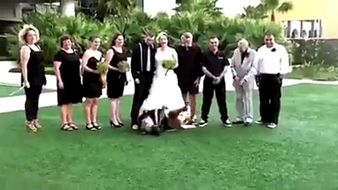 Dur de faire une photo de mariage avec un chien dissipé...