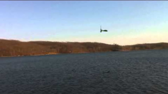 Dragon Spotted/Sighting spotted flying by the lake (2015 UFO)