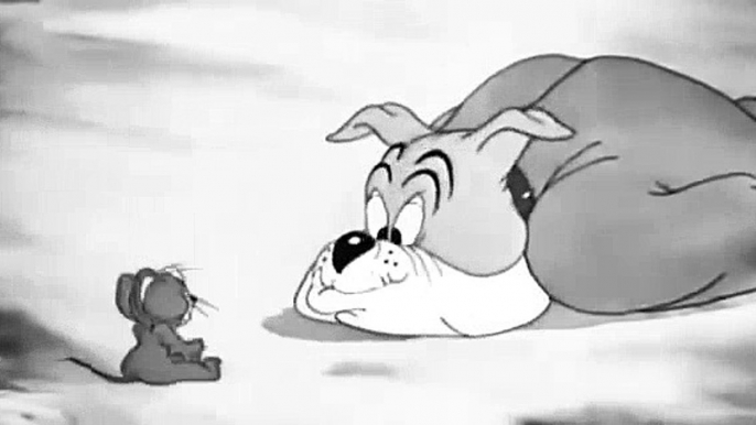 Tom and Jerry   Tom and Jerry Cartoon   Mouse For Dinner 1946  Tom And Jerry Cartoons