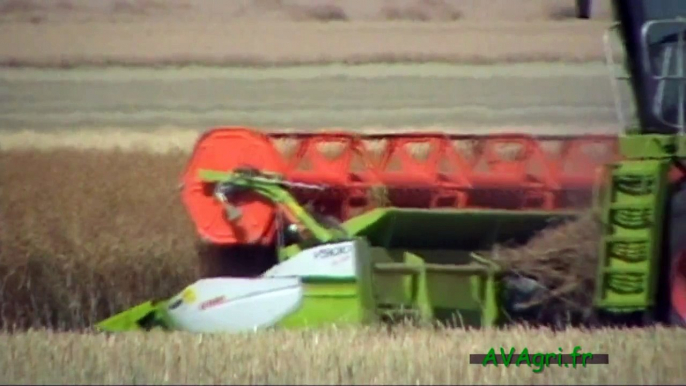 CLAAS Lexion 580 et une coupe de 9m à la moisson du colza en 2011