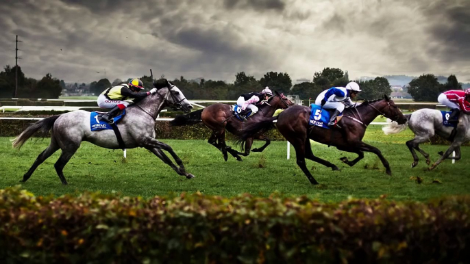 Guia de apuestas en carreras de caballos como apostar en las carreras de caballos