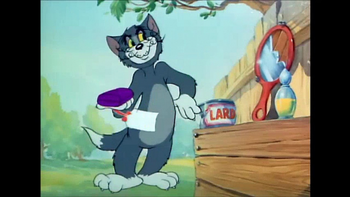 Tom and Jerry, 13 Episode - The Zoot Cat (1944)  Tom And Jerry Cartoons