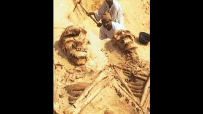 18 Feet Giant Skeletons Discovered 2015