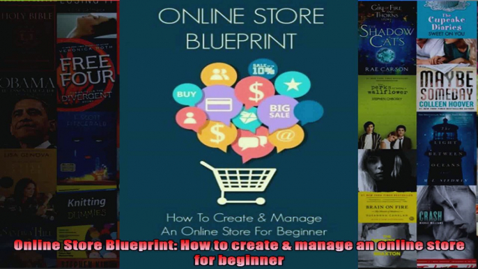 Online Store Blueprint How to create  manage an online store for beginner