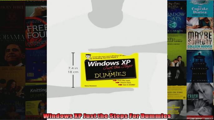 Windows XP Just the Steps For Dummies