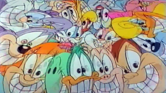 Tiny Toon Adventures Danish Intro (Full theme song)  TINY TOONS Old Cartoons