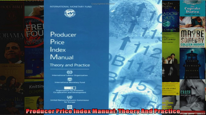 Producer Price Index Manual Theory And Practice