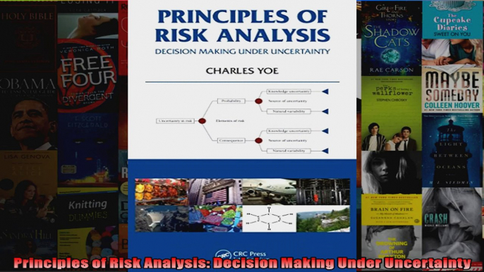 Principles of Risk Analysis Decision Making Under Uncertainty