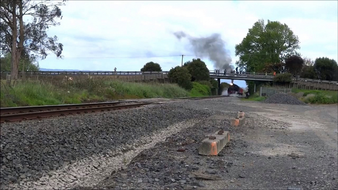 Tourist Steam Train AB 608 Walton, Waikato New Zealand