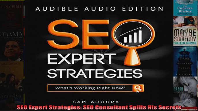 SEO Expert Strategies SEO Consultant Spills His Secrets