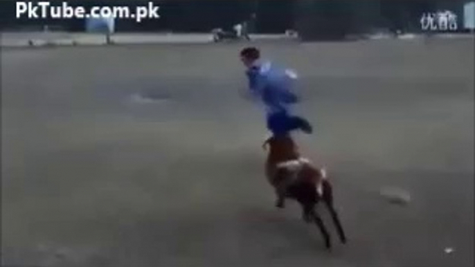 Funny Goat Attack Gone Wrong