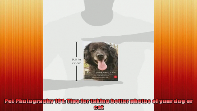 Pet Photography 101 Tips for taking better photos of your dog or cat