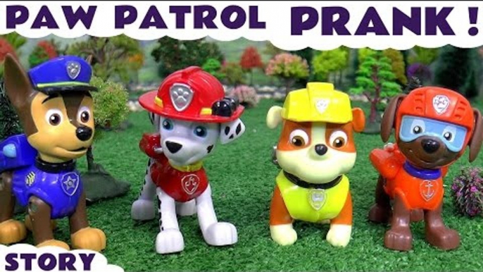 Paw Patrol Funny Prank with Mashems | Disney Cars Minions and Peppa Pig Kids Toys Fun Play