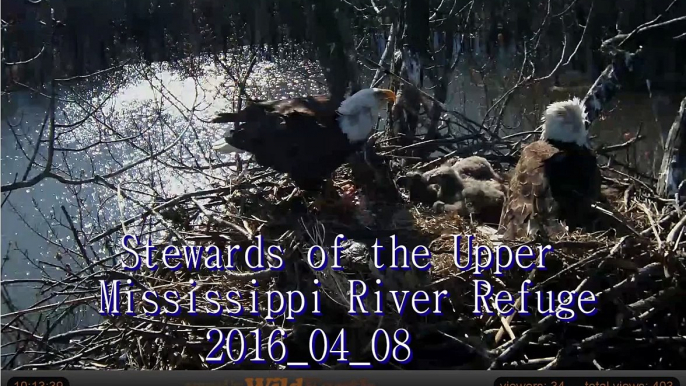 Stewards of the Upper Mississippi River Refuge