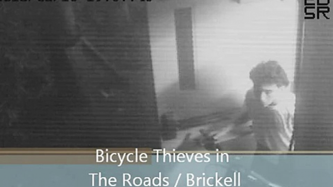 Bicycle thieves in The Roads - Brickell - Little Havana -  MIAMI