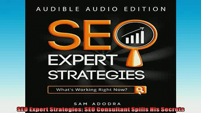 Free PDF Downlaod  SEO Expert Strategies SEO Consultant Spills His Secrets  BOOK ONLINE