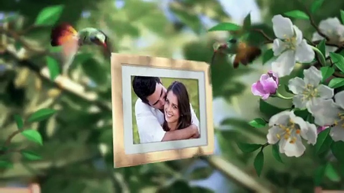 Romantic Photo Opener (Videohive After Effects Template)