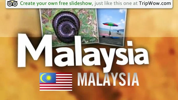 "Malaysian moments" Helenoreilly's photos around Malaysia, Malaysia (malaysian monkey juice)