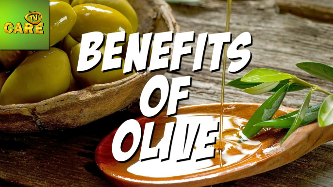 Health Benefits Of Olive | Care TV