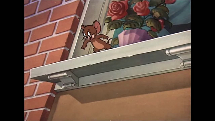 ☺Tom and Jerry ☺ - Casanova Cat (1951) - Short Cartoons Movie for kids - HD