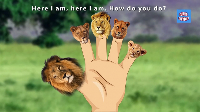 Finger Family Rhymes 3D Lion King Cartoons for Children | Lion Finger Family Children Nursery Rhymes