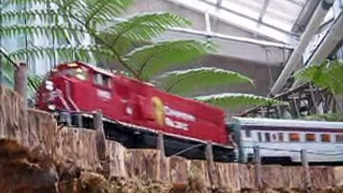 Meijer Gardens train show