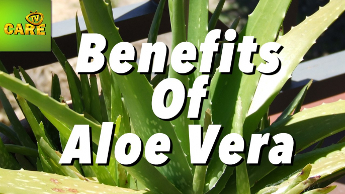 Health Benefits Of Aloe Vera | Care TV