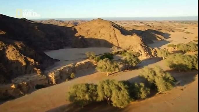 [National Geographic] Wild Namibia  Africa's Dry Savannah (Wildlife Documentary)