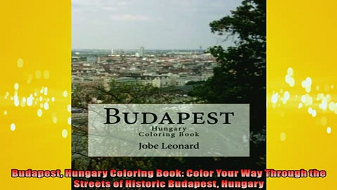 FREE PDF  Budapest Hungary Coloring Book Color Your Way Through the Streets of Historic Budapest READ ONLINE