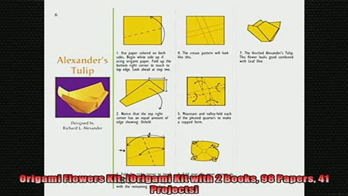 FREE PDF  Origami Flowers Kit Origami Kit with 2 Books 98 Papers 41 Projects  FREE BOOOK ONLINE