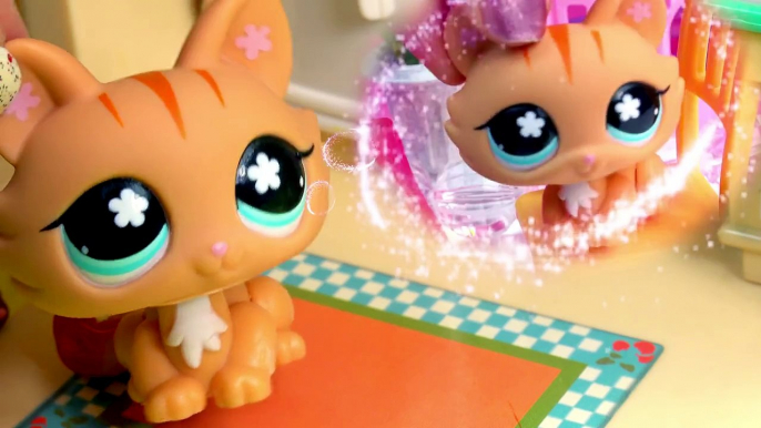 LPS Mommies Home From Date Part 58 Littlest Pet Shop Series Video LPS Bobblehead Cats Cook