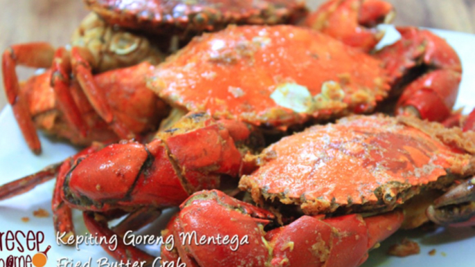 Resep Masakan Seafood  Kepiting Goreng Mentega  Fried Butter Crab Recipe