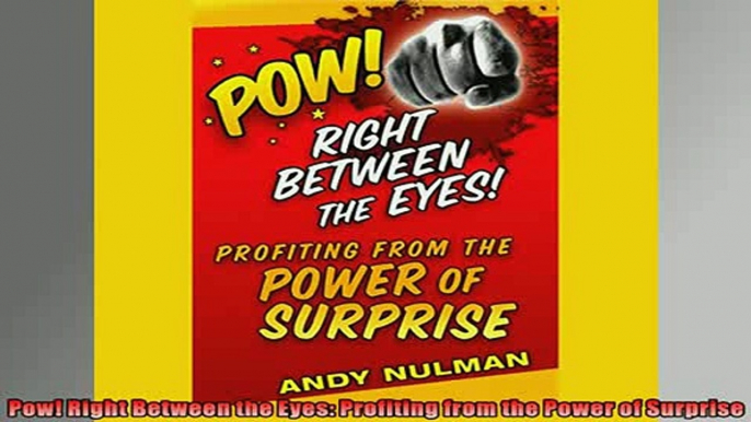 READ book  Pow Right Between the Eyes Profiting from the Power of Surprise  FREE BOOOK ONLINE